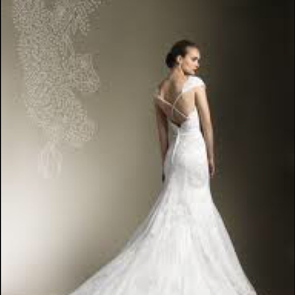 Jessy Alexander Wedding dress - Picture 3 of 11